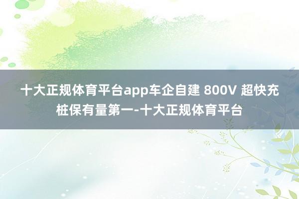 十大正规体育平台app车企自建 800V 超快充桩保有量第一-十大正规体育平台