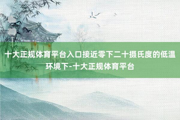 十大正规体育平台入口接近零下二十摄氏度的低温环境下-十大正规体育平台