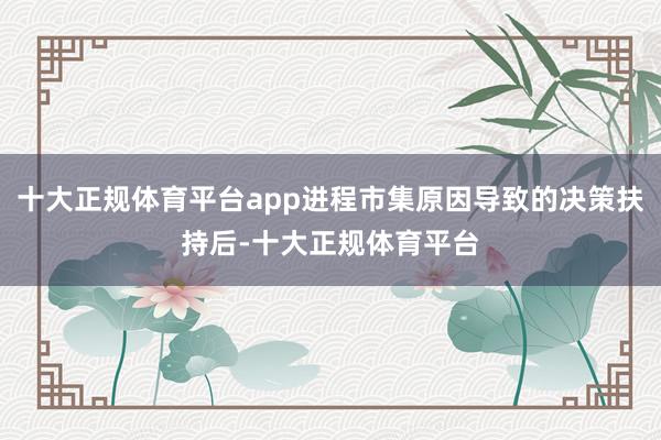 十大正规体育平台app进程市集原因导致的决策扶持后-十大正规体育平台
