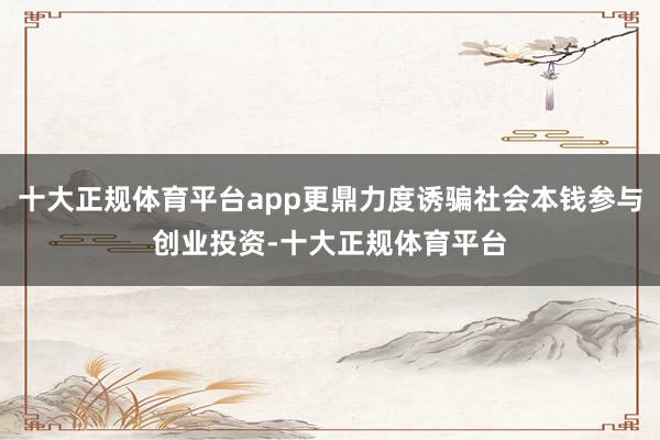 十大正规体育平台app更鼎力度诱骗社会本钱参与创业投资-十大正规体育平台