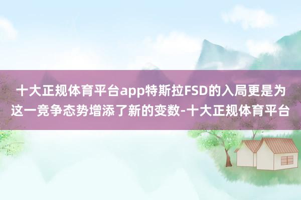十大正规体育平台app特斯拉FSD的入局更是为这一竞争态势增添了新的变数-十大正规体育平台