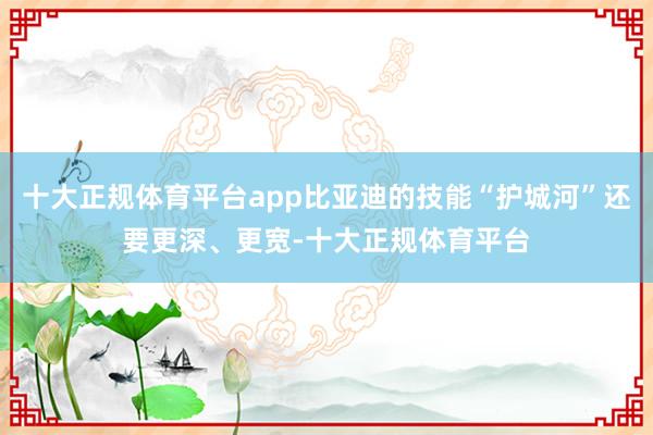 十大正规体育平台app比亚迪的技能“护城河”还要更深、更宽-十大正规体育平台