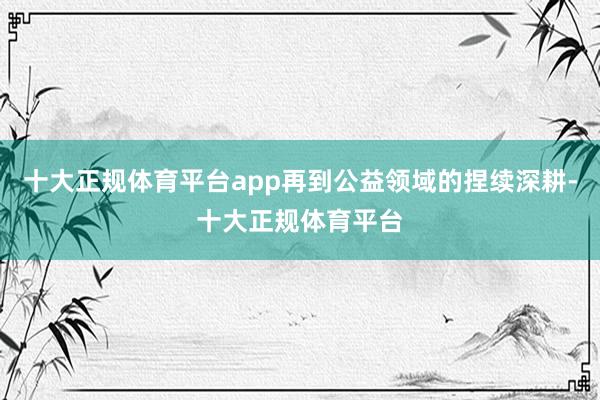十大正规体育平台app再到公益领域的捏续深耕-十大正规体育平台