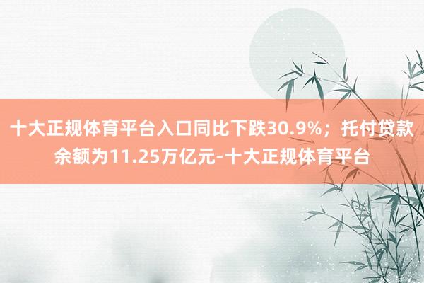 十大正规体育平台入口同比下跌30.9%；托付贷款余额为11.25万亿元-十大正规体育平台
