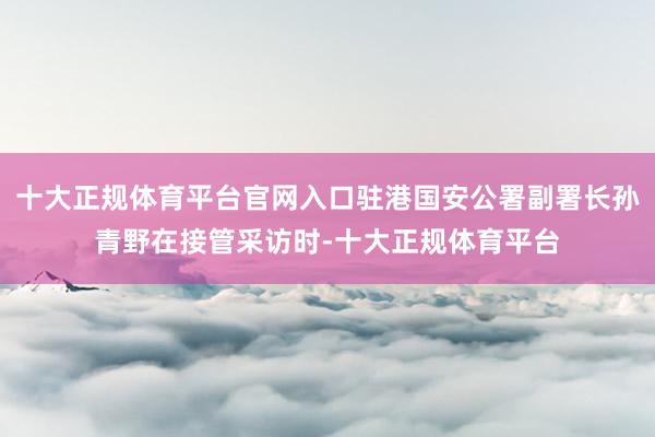 十大正规体育平台官网入口驻港国安公署副署长孙青野在接管采访时-十大正规体育平台