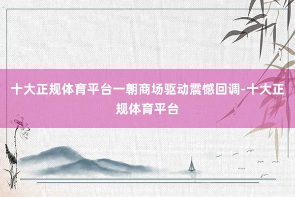 十大正规体育平台一朝商场驱动震憾回调-十大正规体育平台