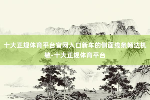 十大正规体育平台官网入口新车的侧面线条畅达机敏-十大正规体育平台