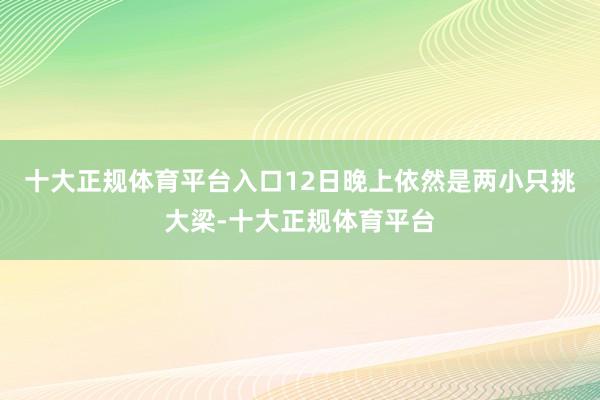 十大正规体育平台入口12日晚上依然是两小只挑大梁-十大正规体育平台