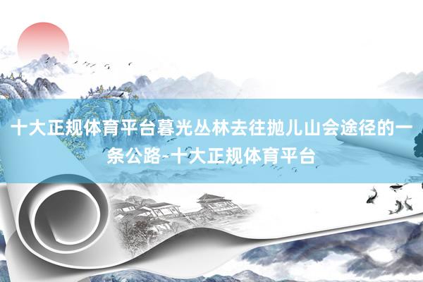 十大正规体育平台暮光丛林去往抛儿山会途径的一条公路-十大正规体育平台