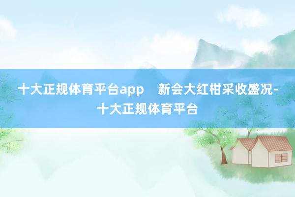 十大正规体育平台app    新会大红柑采收盛况-十大正规体