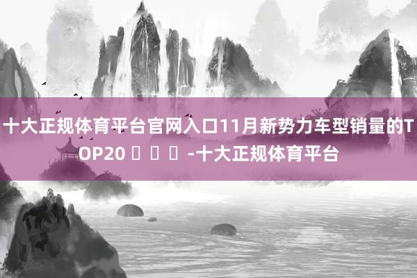 十大正规体育平台官网入口11月新势力车型销量的TOP20 ​