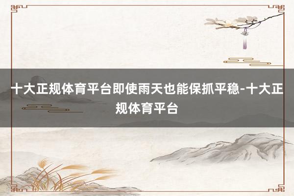 十大正规体育平台即使雨天也能保抓平稳-十大正规体育平台