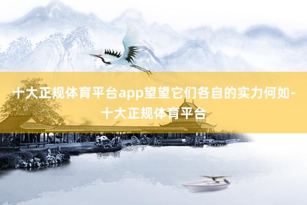十大正规体育平台app望望它们各自的实力何如-十大正规体育平台