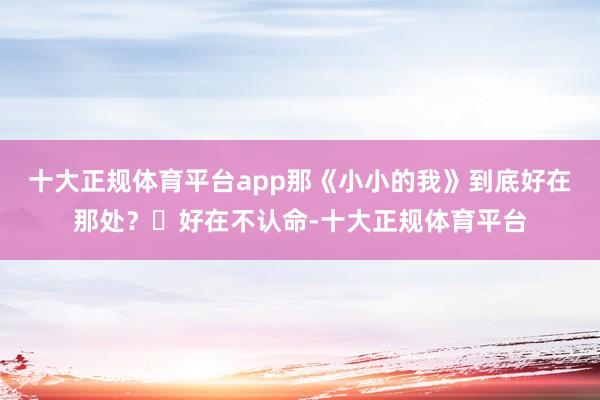 十大正规体育平台app那《小小的我》到底好在那处? 好在不认命-十大正规体育平台