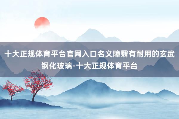 十大正规体育平台官网入口名义障翳有耐用的玄武钢化玻璃-十大正