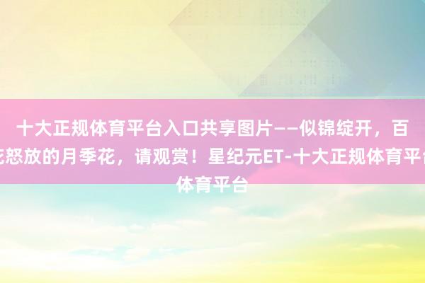 十大正规体育平台入口共享图片——似锦绽开，百花怒放的月季花，