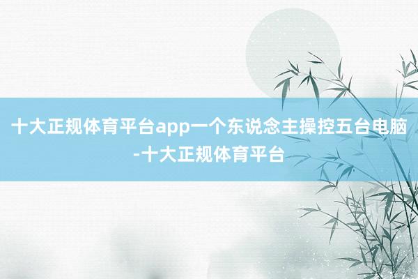 十大正规体育平台app一个东说念主操控五台电脑-十大正规体育平台
