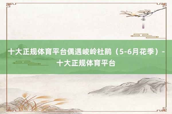 十大正规体育平台偶遇峻岭杜鹃（5-6月花季）-十大正规体育平台
