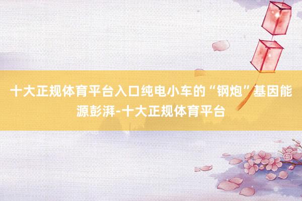十大正规体育平台入口纯电小车的“钢炮”基因能源彭湃-十大正规体育平台
