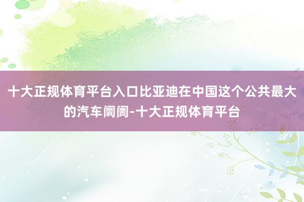十大正规体育平台入口比亚迪在中国这个公共最大的汽车阛阓-十大正规体育平台