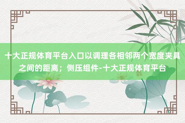十大正规体育平台入口以调理各相邻两个宽度夹具之间的距离；侧压组件-十大正规体育平台