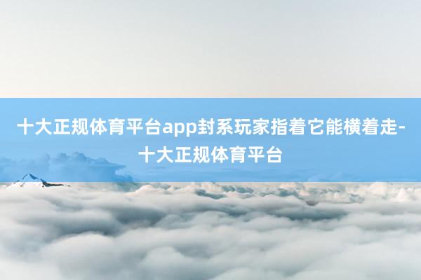 十大正规体育平台app封系玩家指着它能横着走-十大正规体育平台