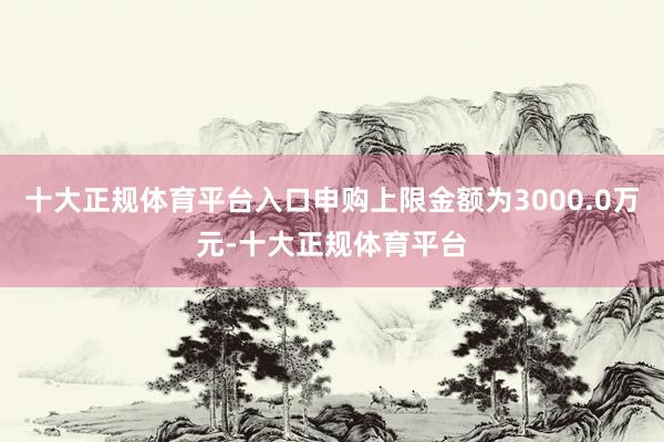 十大正规体育平台入口申购上限金额为3000.0万元-十大正规体育平台
