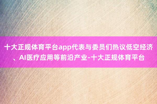 十大正规体育平台app代表与委员们热议低空经济、AI医疗应用等前沿产业-十大正规体育平台