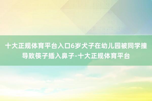 十大正规体育平台入口6岁犬子在幼儿园被同学撞导致筷子插入鼻子-十大正规体育平台