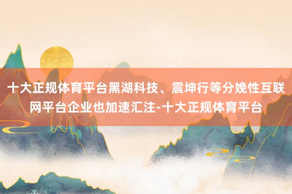 十大正规体育平台黑湖科技、震坤行等分娩性互联网平台企业也加速汇注-十大正规体育平台