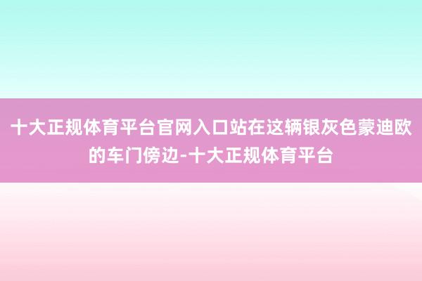 十大正规体育平台官网入口站在这辆银灰色蒙迪欧的车门傍边-十大正规体育平台