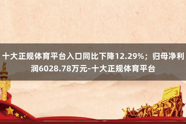 十大正规体育平台入口同比下降12.29%；归母净利润6028.78万元-十大正规体育平台