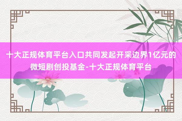十大正规体育平台入口共同发起开采边界1亿元的微短剧创投基金-十大正规体育平台