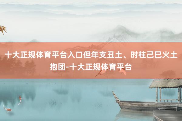 十大正规体育平台入口但年支丑土、时柱己巳火土抱团-十大正规体育平台