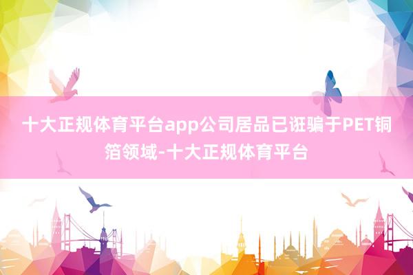 十大正规体育平台app公司居品已诳骗于PET铜箔领域-十大正规体育平台