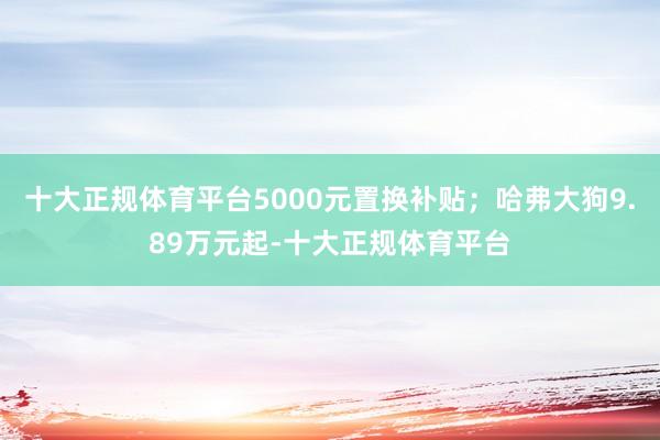 十大正规体育平台5000元置换补贴；哈弗大狗9.89万元起-十大正规体育平台