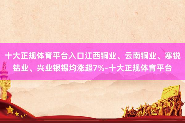 十大正规体育平台入口江西铜业、云南铜业、寒锐钴业、兴业银锡均涨超7%-十大正规体育平台