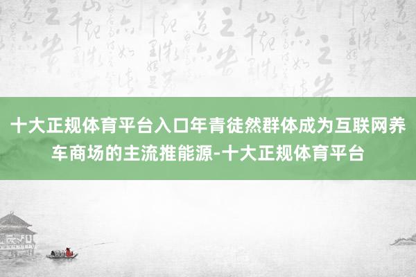 十大正规体育平台入口年青徒然群体成为互联网养车商场的主流推能源-十大正规体育平台