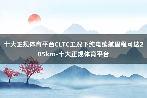 十大正规体育平台CLTC工况下纯电续航里程可达205km-十大正规体育平台