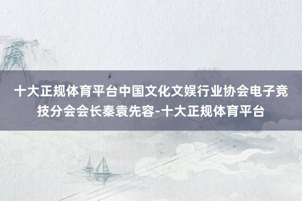 十大正规体育平台　　中国文化文娱行业协会电子竞技分会会长秦袁先容-十大正规体育平台