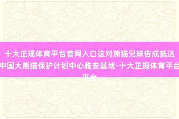 十大正规体育平台官网入口这对熊猫兄妹告成抵达中国大熊猫保护计划中心雅安基地-十大正规体育平台