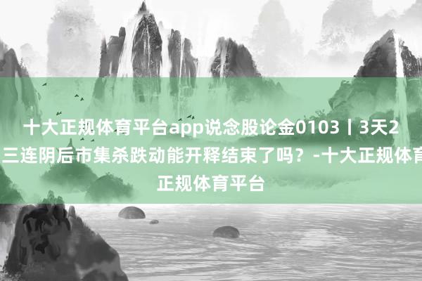 十大正规体育平台app说念股论金0103丨3天200点 三连阴后市集杀跌动能开释结束了吗？-十大正规体育平台