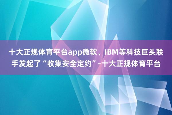 十大正规体育平台app微软、IBM等科技巨头联手发起了“收集