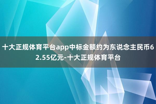 十大正规体育平台app中标金额约为东说念主民币62.55亿元-十大正规体育平台