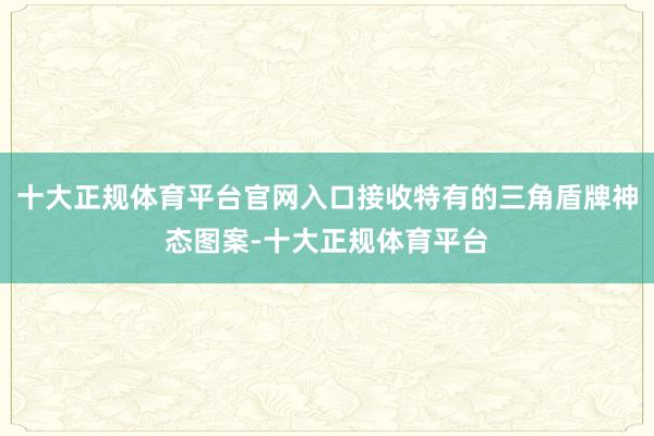 十大正规体育平台官网入口接收特有的三角盾牌神态图案-十大正规体育平台