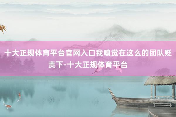 十大正规体育平台官网入口我嗅觉在这么的团队贬责下-十大正规体育平台