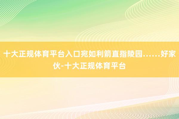 十大正规体育平台入口宛如利箭直指陵园……好家伙-十大正规体育平台
