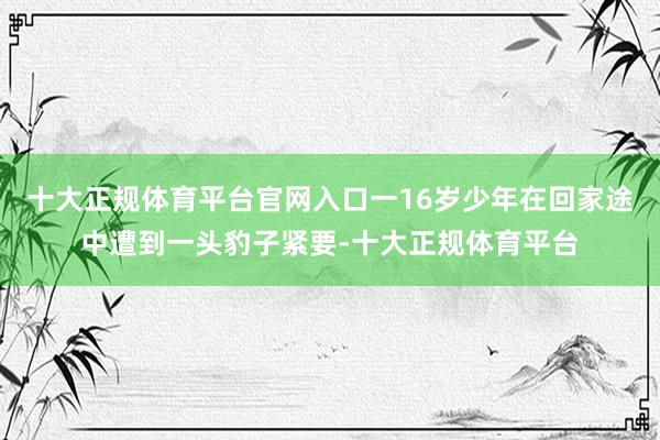 十大正规体育平台官网入口一16岁少年在回家途中遭到一头豹子紧要-十大正规体育平台