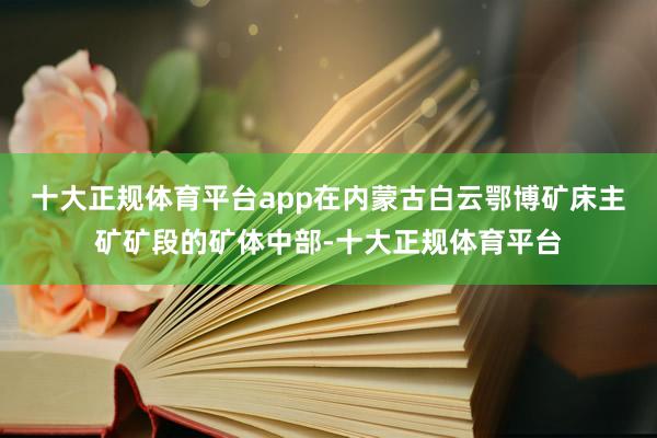 十大正规体育平台app在内蒙古白云鄂博矿床主矿矿段的矿体中部-十大正规体育平台