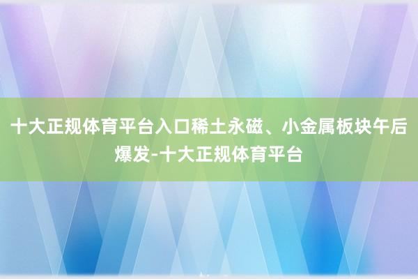 十大正规体育平台入口稀土永磁、小金属板块午后爆发-十大正规体育平台